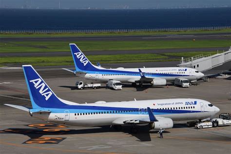 伊丹 東京 飛行機 - 空を駆ける夢と現実の狭間で